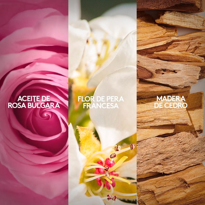 Set-Perfume-de-mujer---Locion-perfumada-Bela